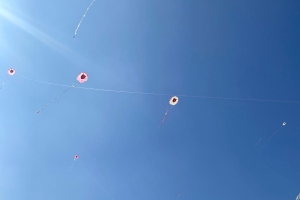 Piknik ve Uçurtma Şenliğimiz gerçekleşti